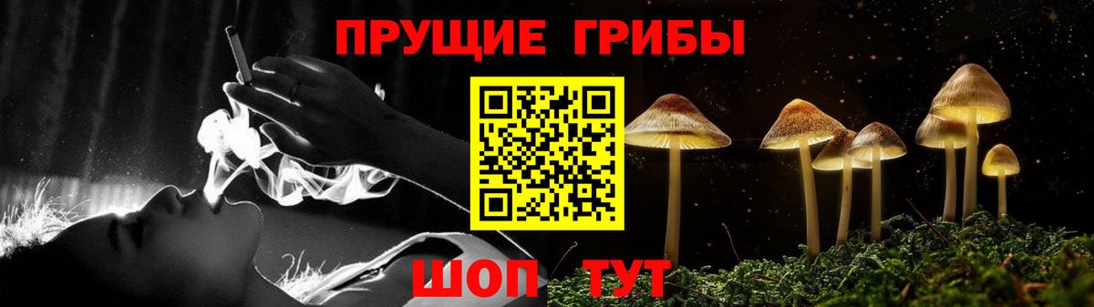 Карачаевск  купить   Вход с VPN  Псилоцибиновые грибы Psilocybine cubensis 
